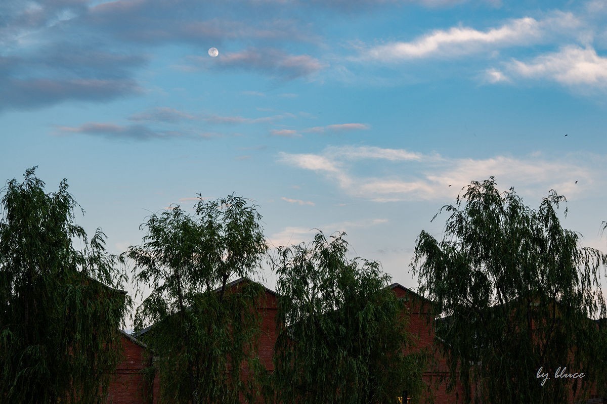 南关厢老街【下】