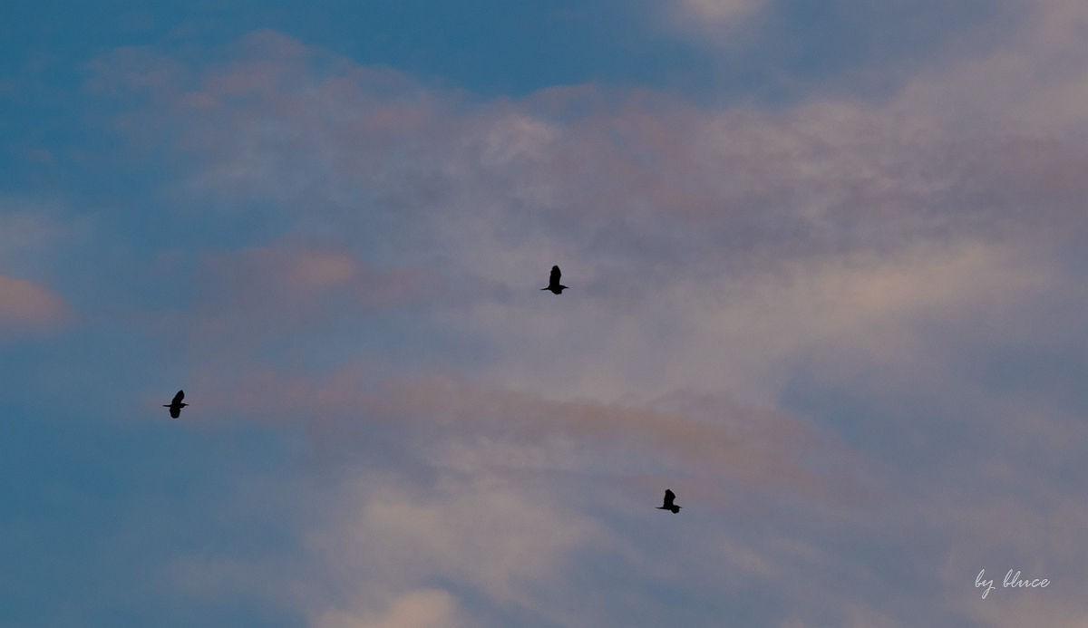 南关厢老街【下】