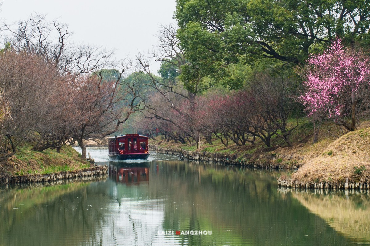 春临西溪