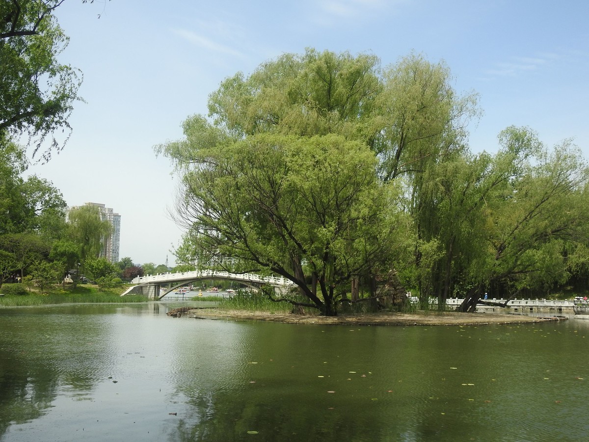 公园风景2