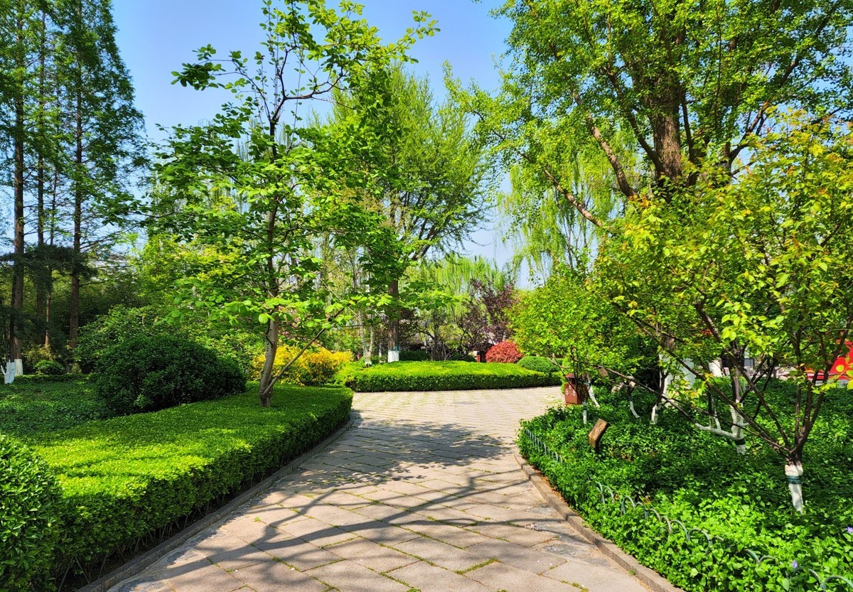 济南的春天壹环城公园周边风光