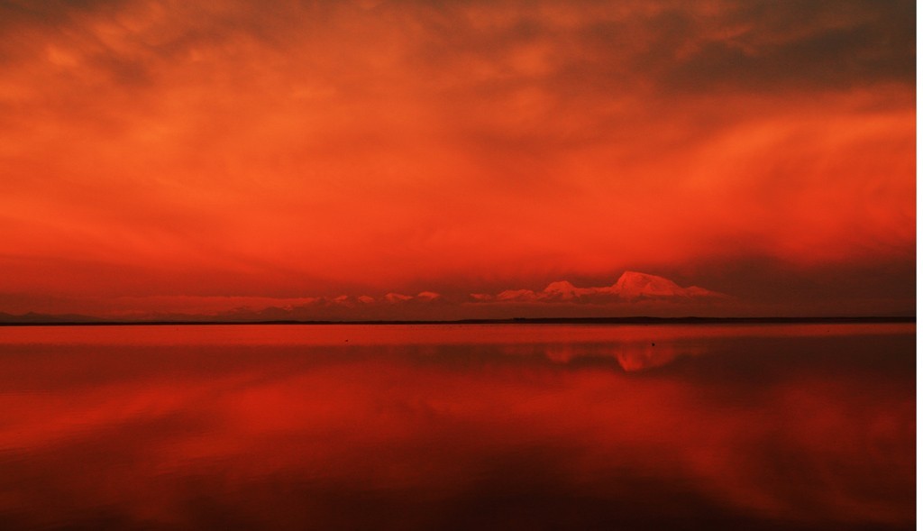 世界第三极-阿里