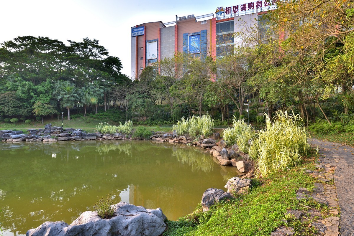 相思湖岸边随拍8