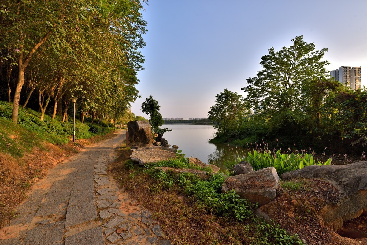 相思湖岸边随拍8