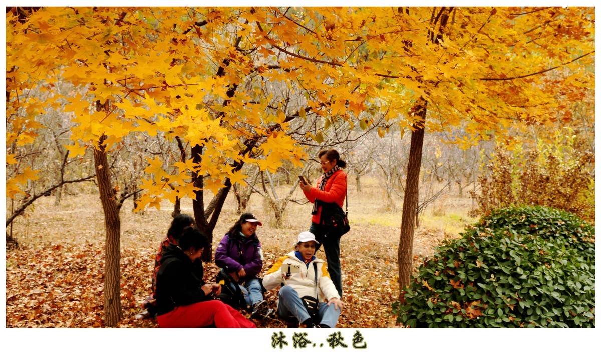 沐浴秋色....