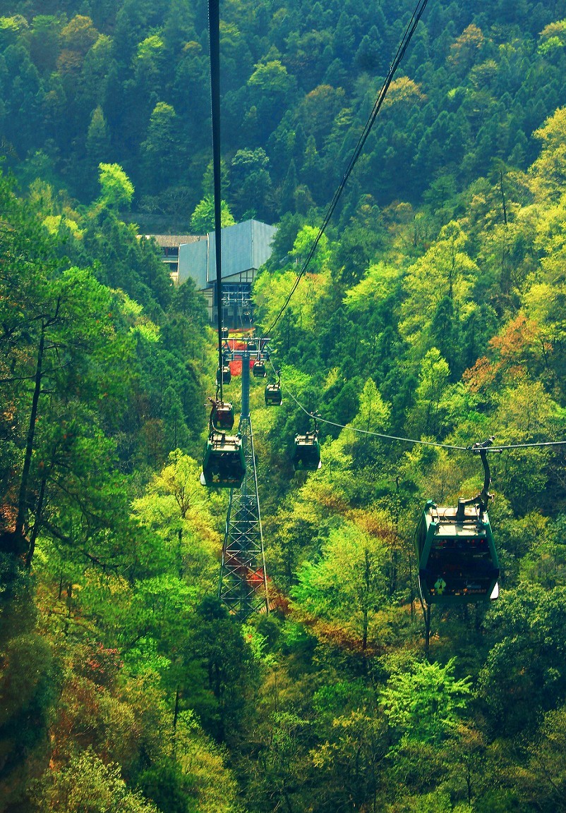 旅游扫街杂拍抓拍片《风景，花草和妹子》祝大家周末愉快！