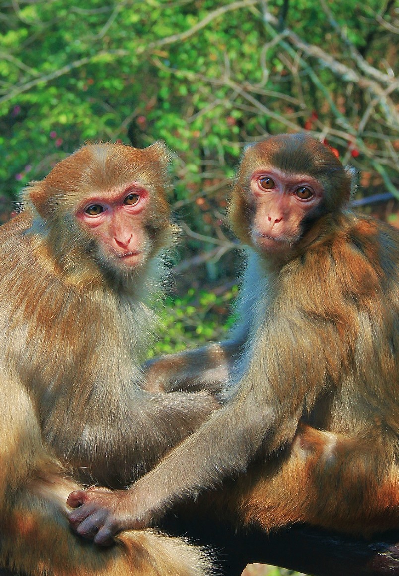 旅游扫街杂拍抓拍片《风景，花草和妹子》祝大家周末愉快！