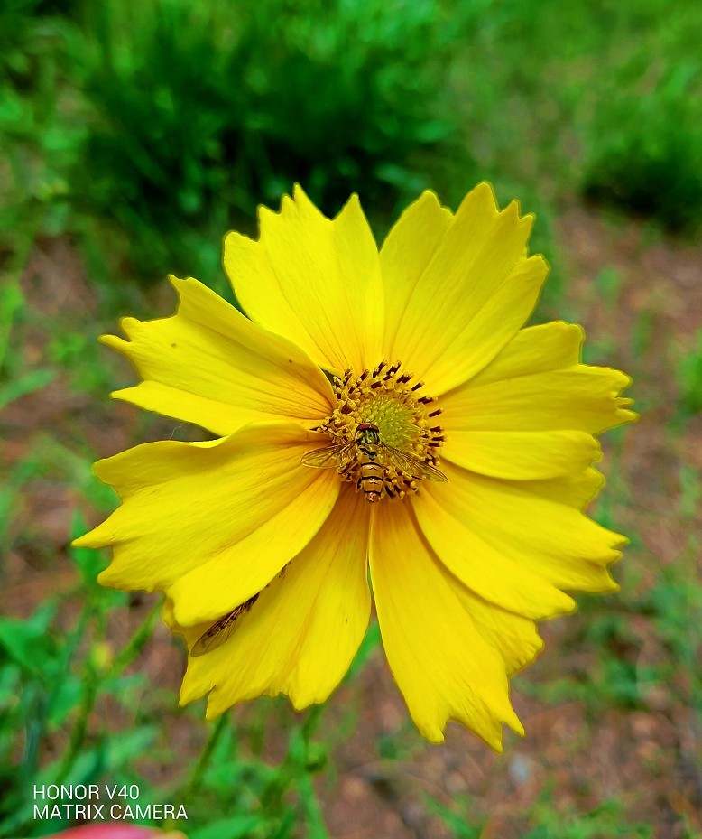 旅游扫街杂拍抓拍片《风景，花草和妹子》祝大家周末愉快！
