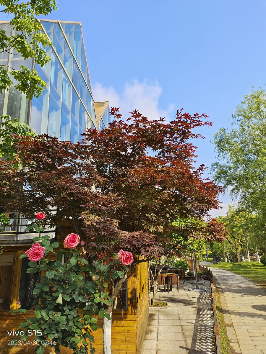 浙南县城公园————新昌县鼓山公园初探