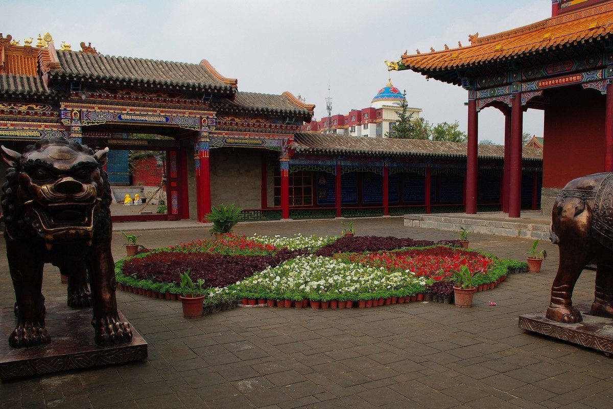 呼和浩特大昭寺