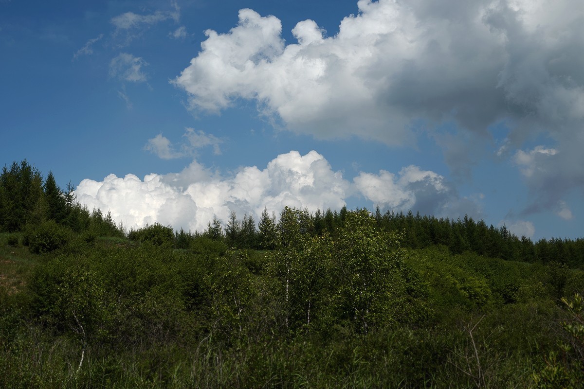 七彩森林公园正午的光影