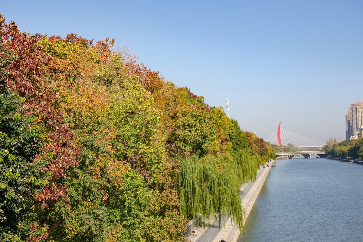 初冬店埠河岸（3）