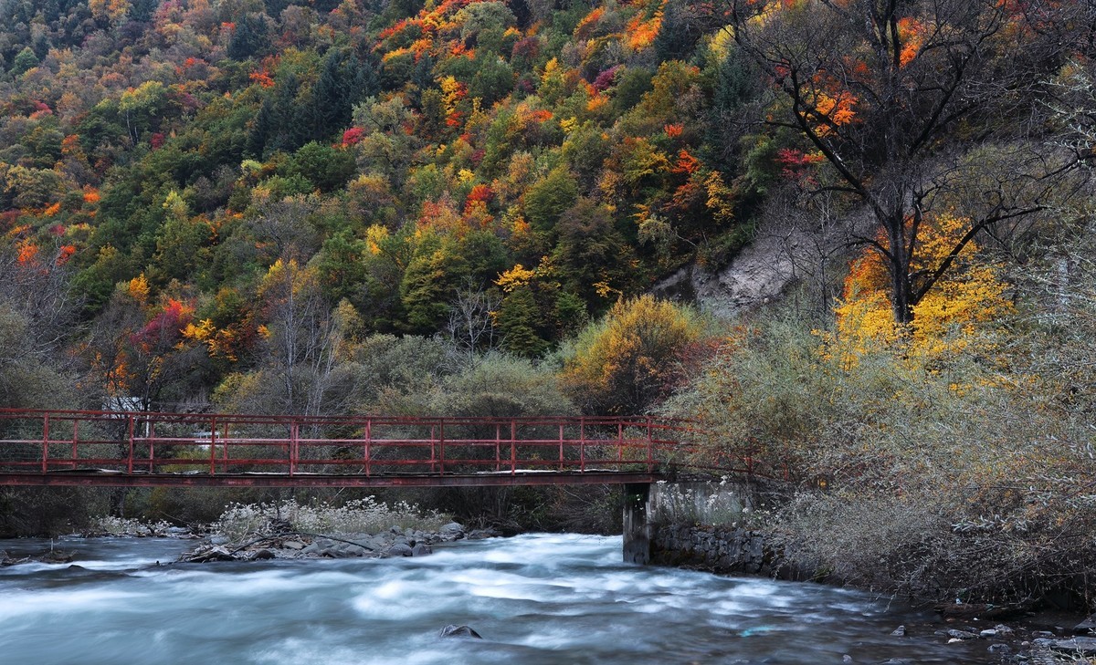 松坪沟彩林之三
