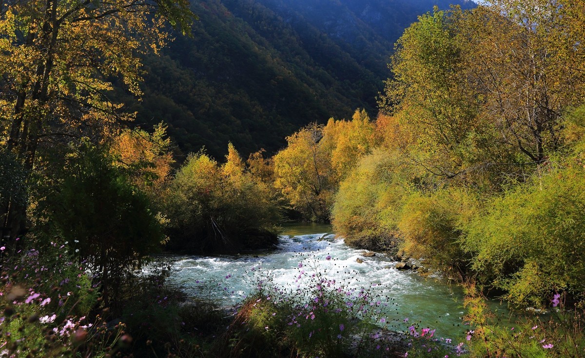 松坪沟彩林之三