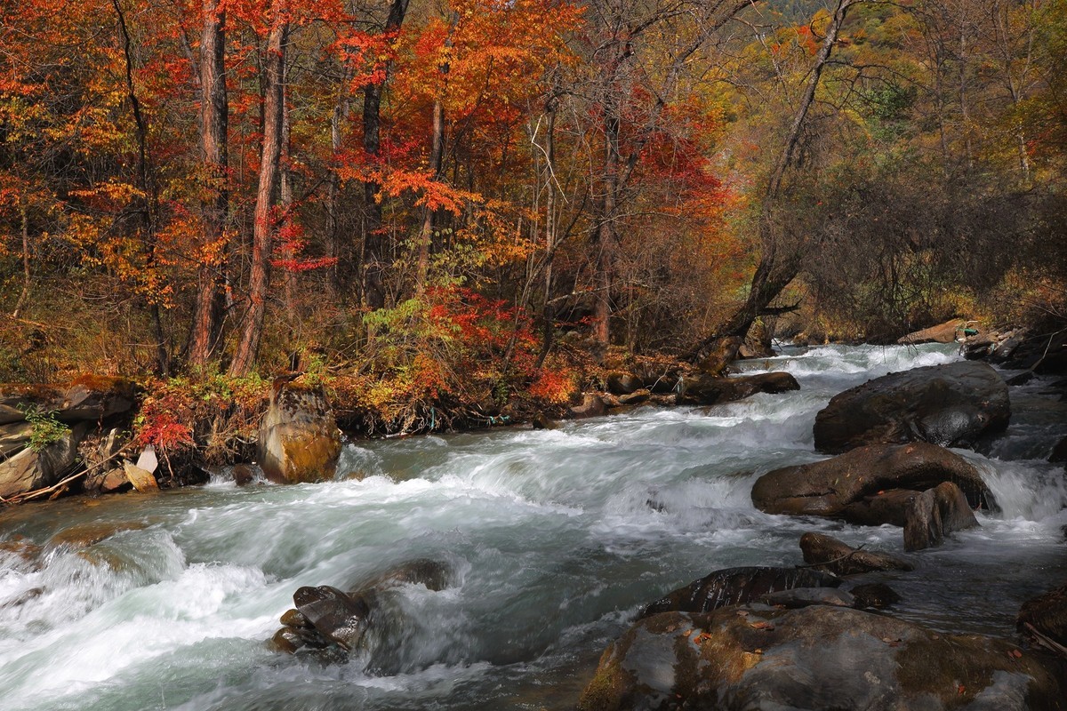 松坪沟彩林之三
