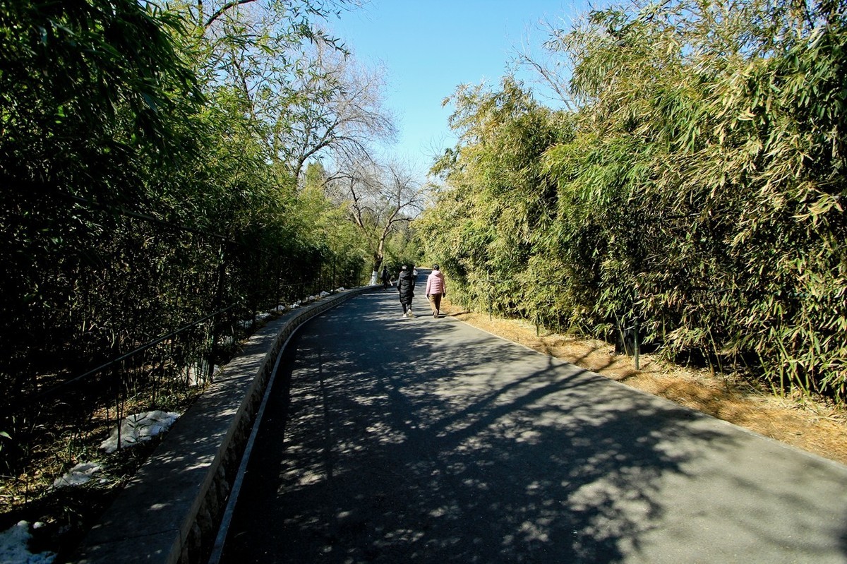 初春——素静安逸的千佛山 （二）