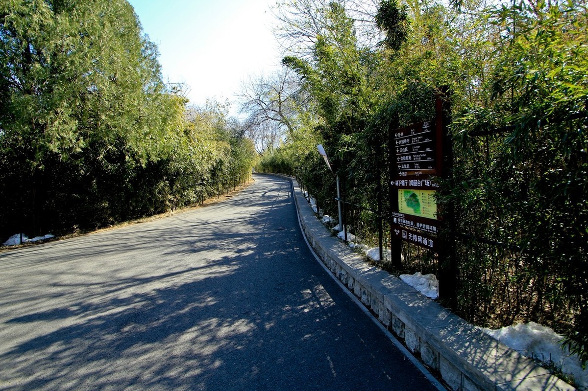 初春——素静安逸的千佛山 （二）