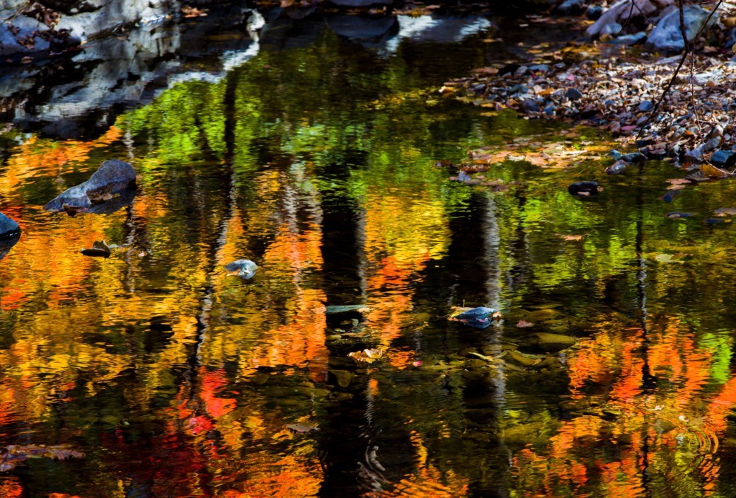 外出随拍（续244）.