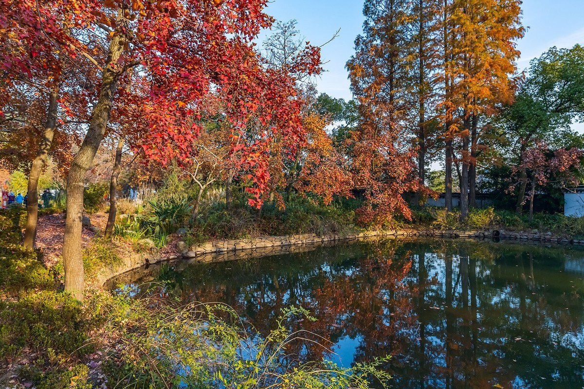 旅游记录 ：江苏 · 苏州 · 天平山红枫林
