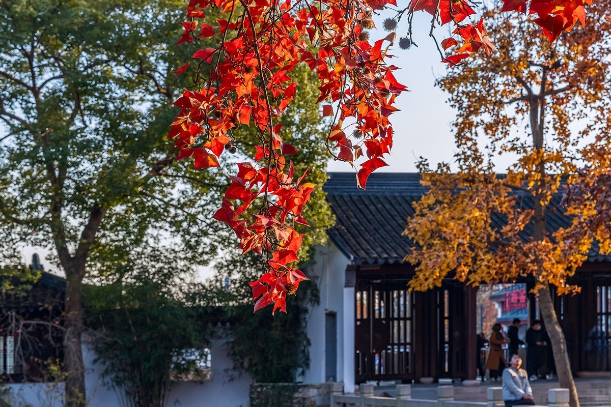 旅游记录 ：江苏 · 苏州 · 天平山红枫林