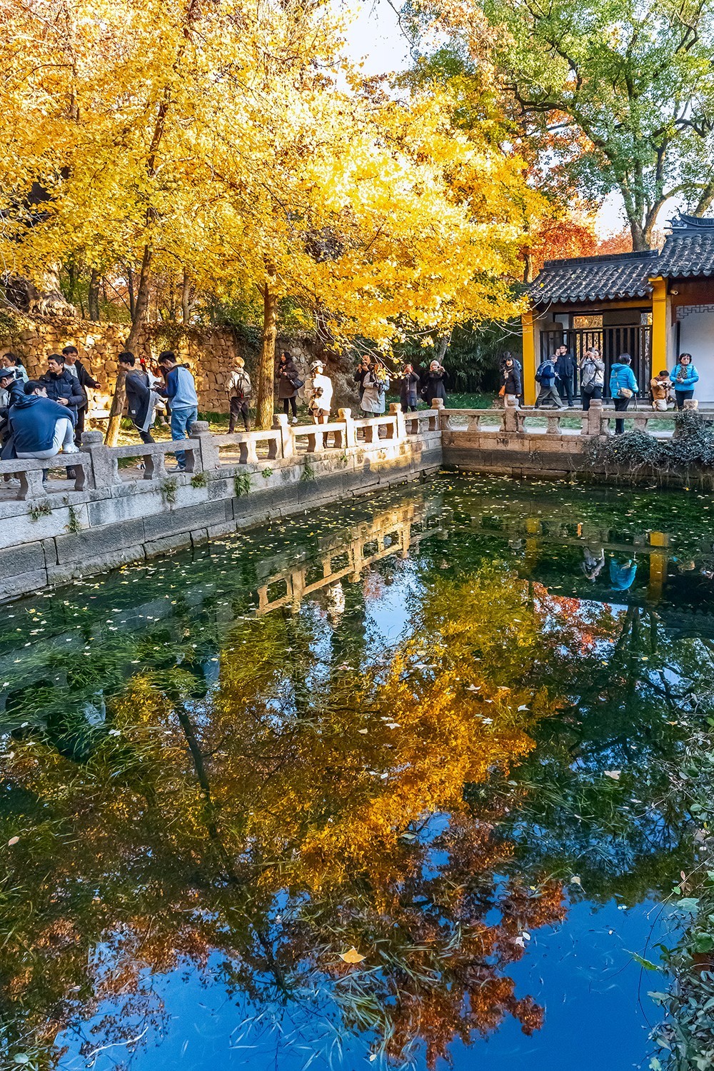 旅游记录 ：江苏 · 苏州 · 天平山红枫林