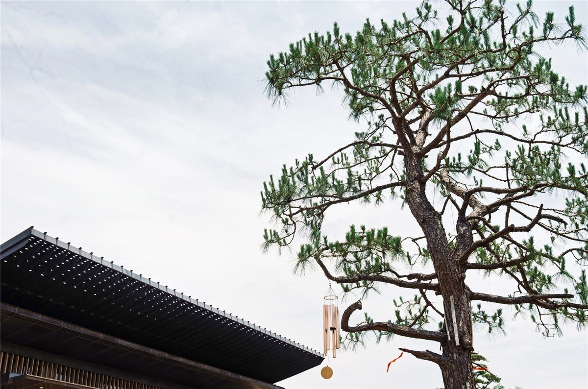 【菜々手摄影】国庆寺随拍