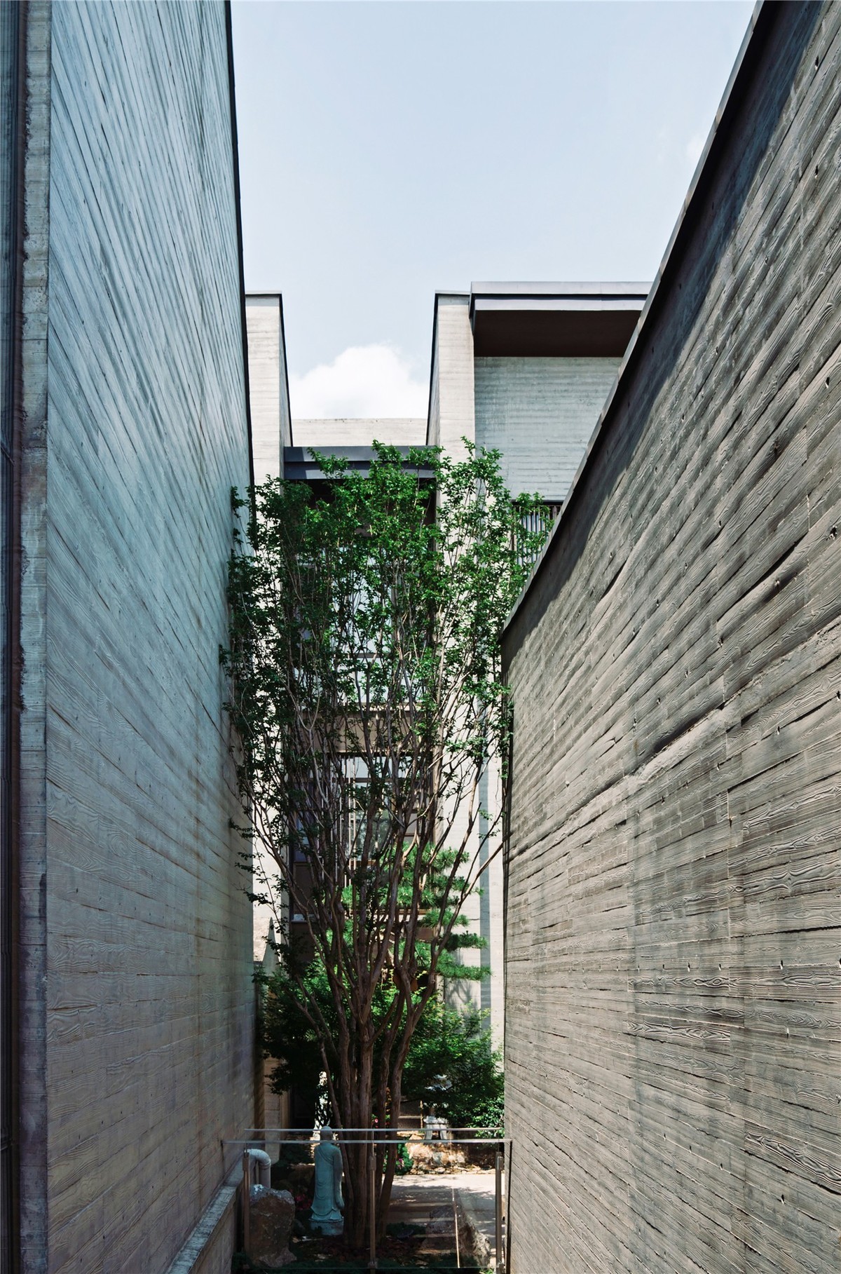 【菜々手摄影】国庆寺随拍