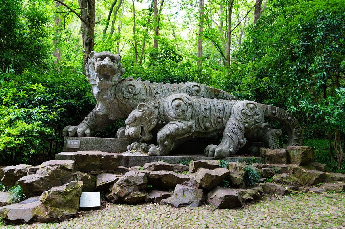 虎跑随拍（上）