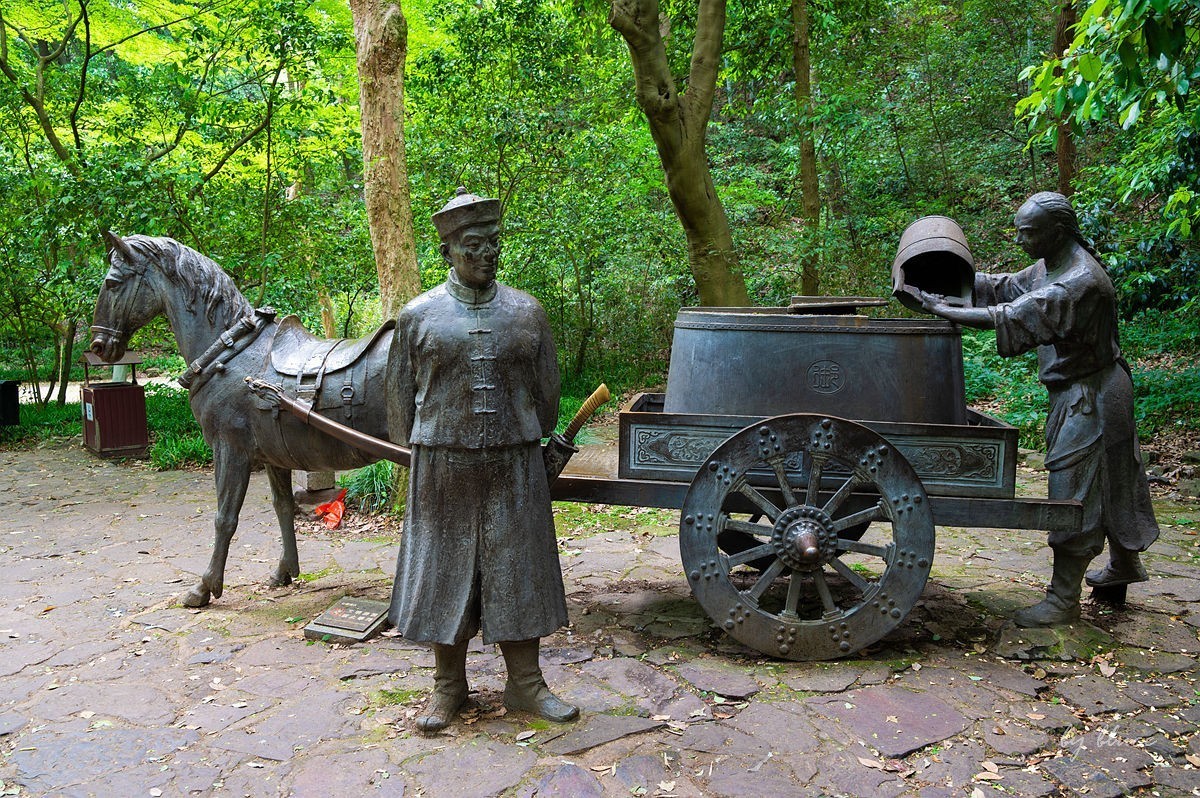 虎跑随拍（上）