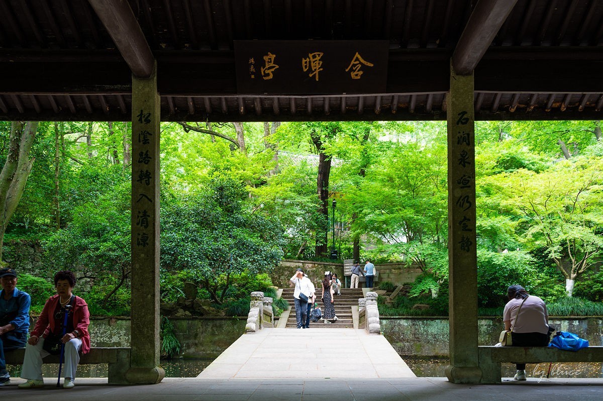 虎跑随拍（上）