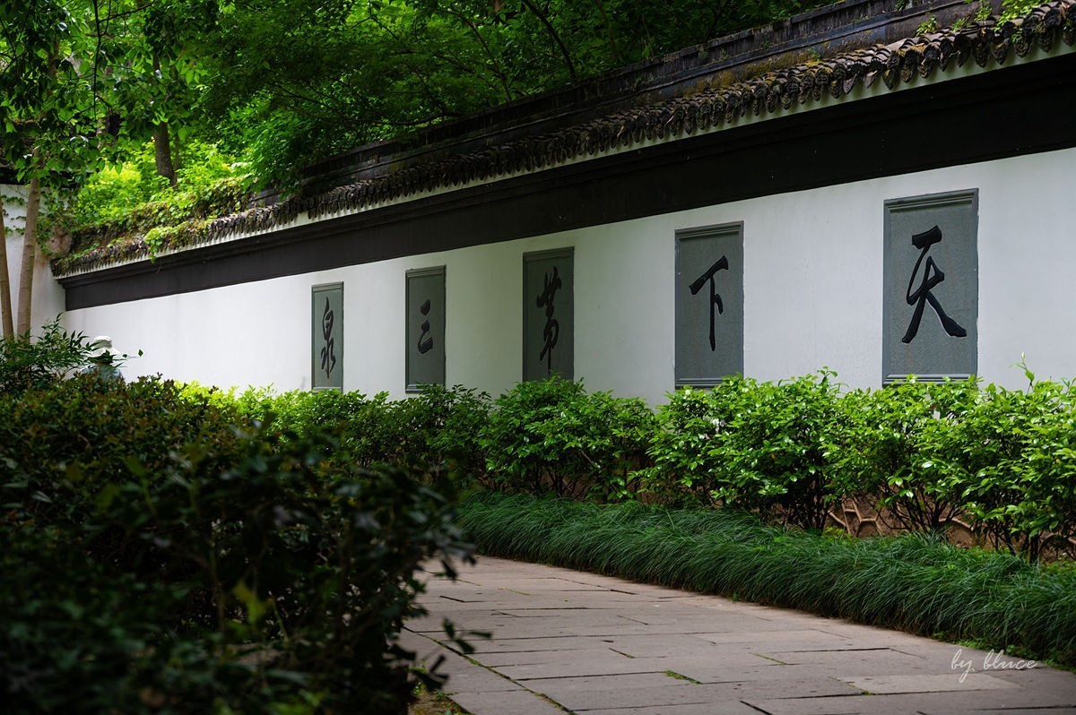 虎跑随拍（上）