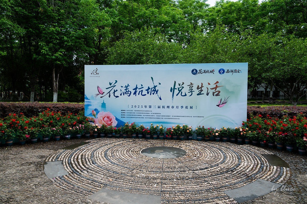 公园踏春赏花（12）