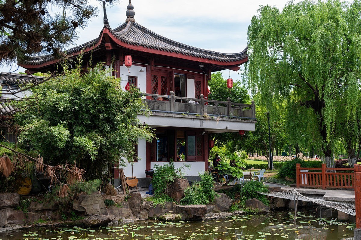 公园踏春赏花（12）