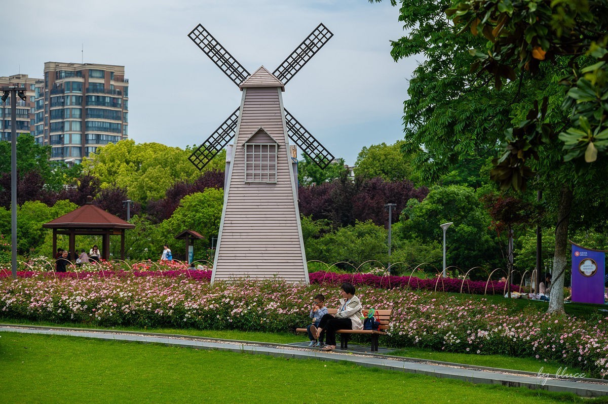 公园踏春赏花（12）