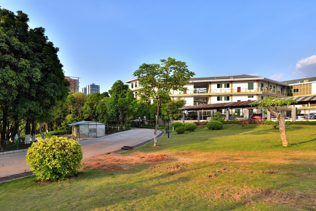 相思湖岸边随拍8