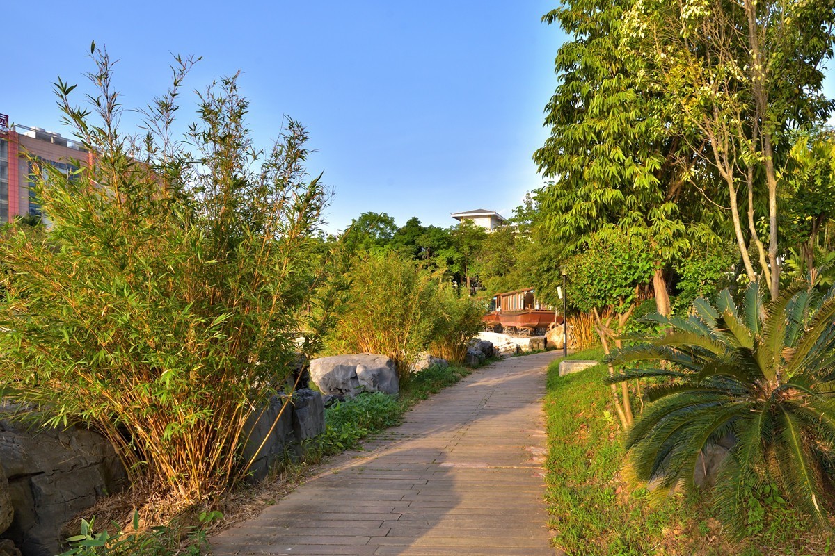 相思湖岸边随拍8