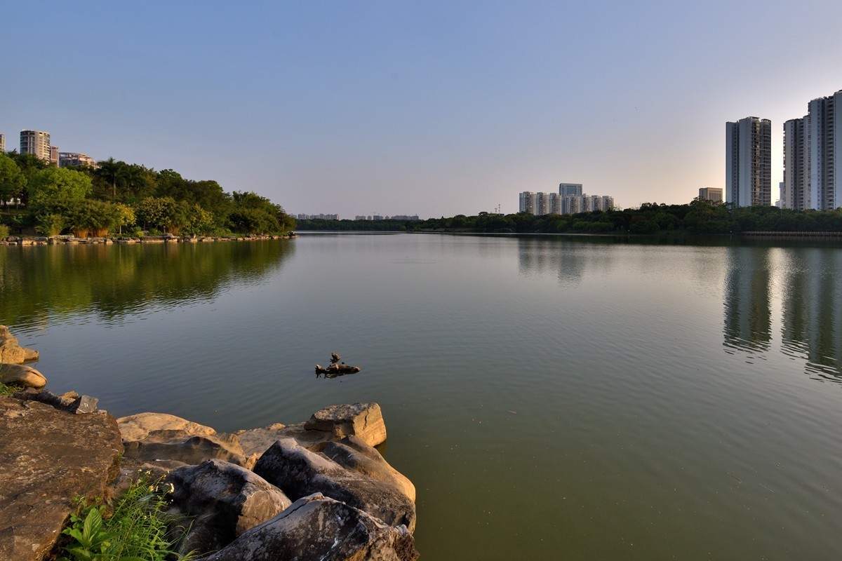 相思湖岸边随拍8