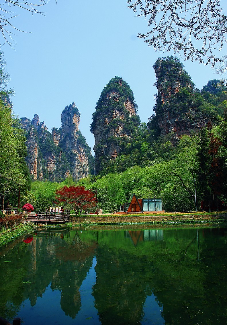 旅游扫街杂拍抓拍片《风景，花草和妹子》祝大家周末愉快！