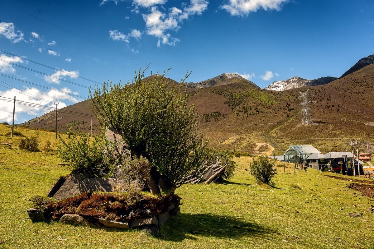 2019.06.进藏回顾 之 康定·折多山下木雅地