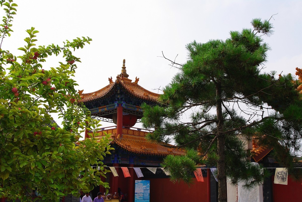 呼和浩特大昭寺