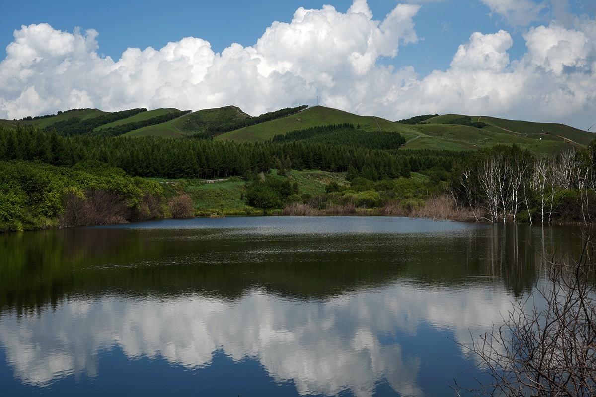 七彩森林公园正午的光影
