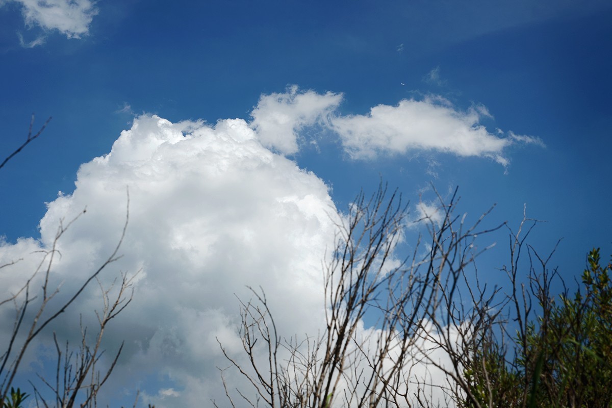 七彩森林公园正午的光影