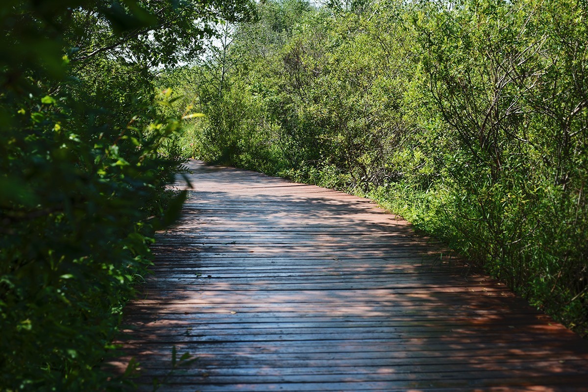 七彩森林公园正午的光影