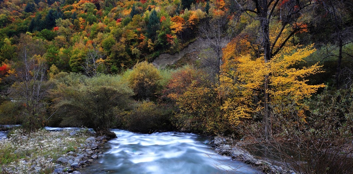 松坪沟彩林之三