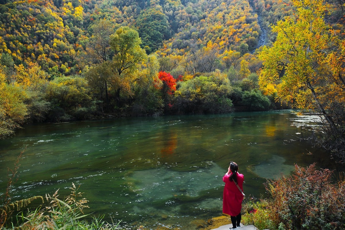 松坪沟彩林之三