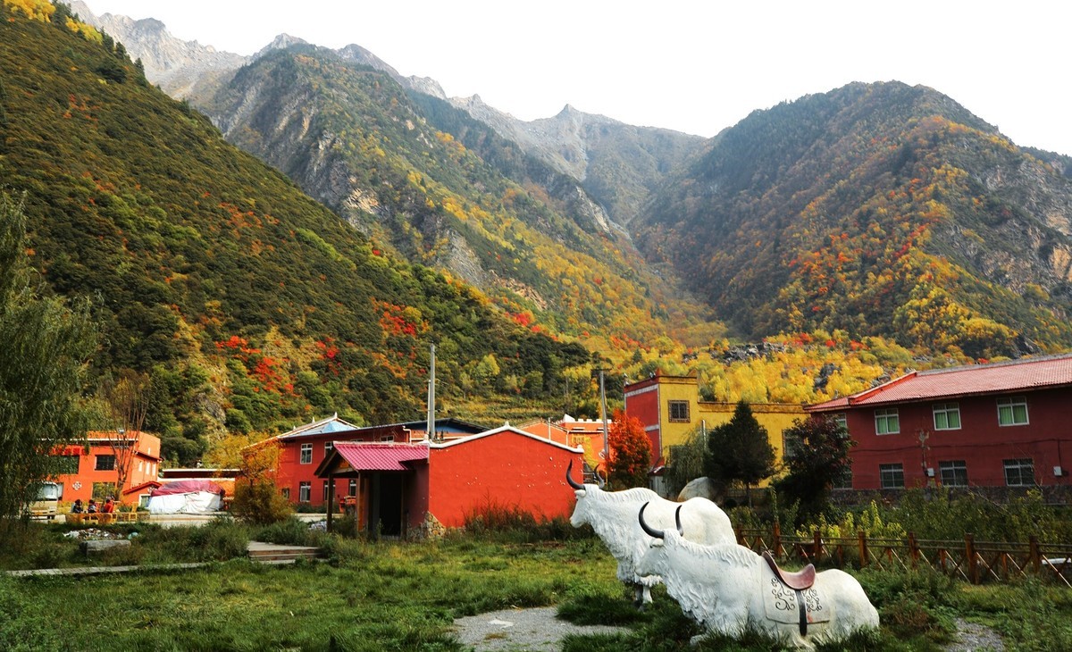 松坪沟彩林之三