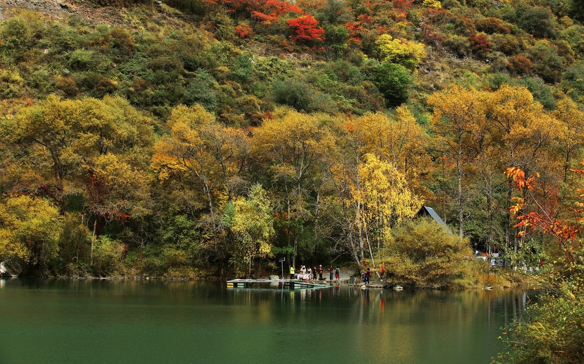 松坪沟彩林之三