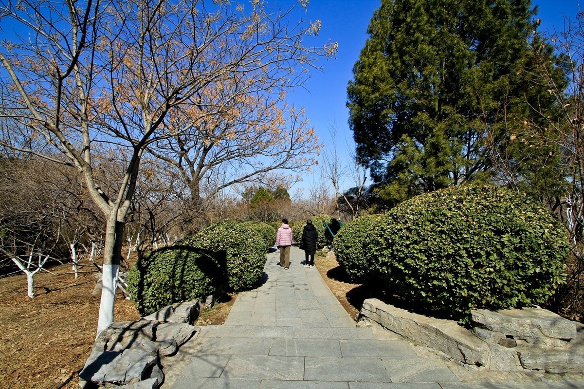 初春——素静安逸的千佛山 （二）