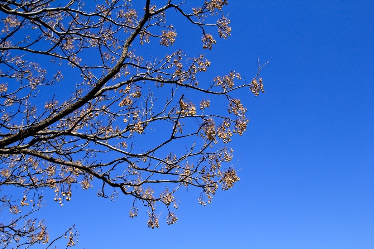 初春——素静安逸的千佛山 （二）
