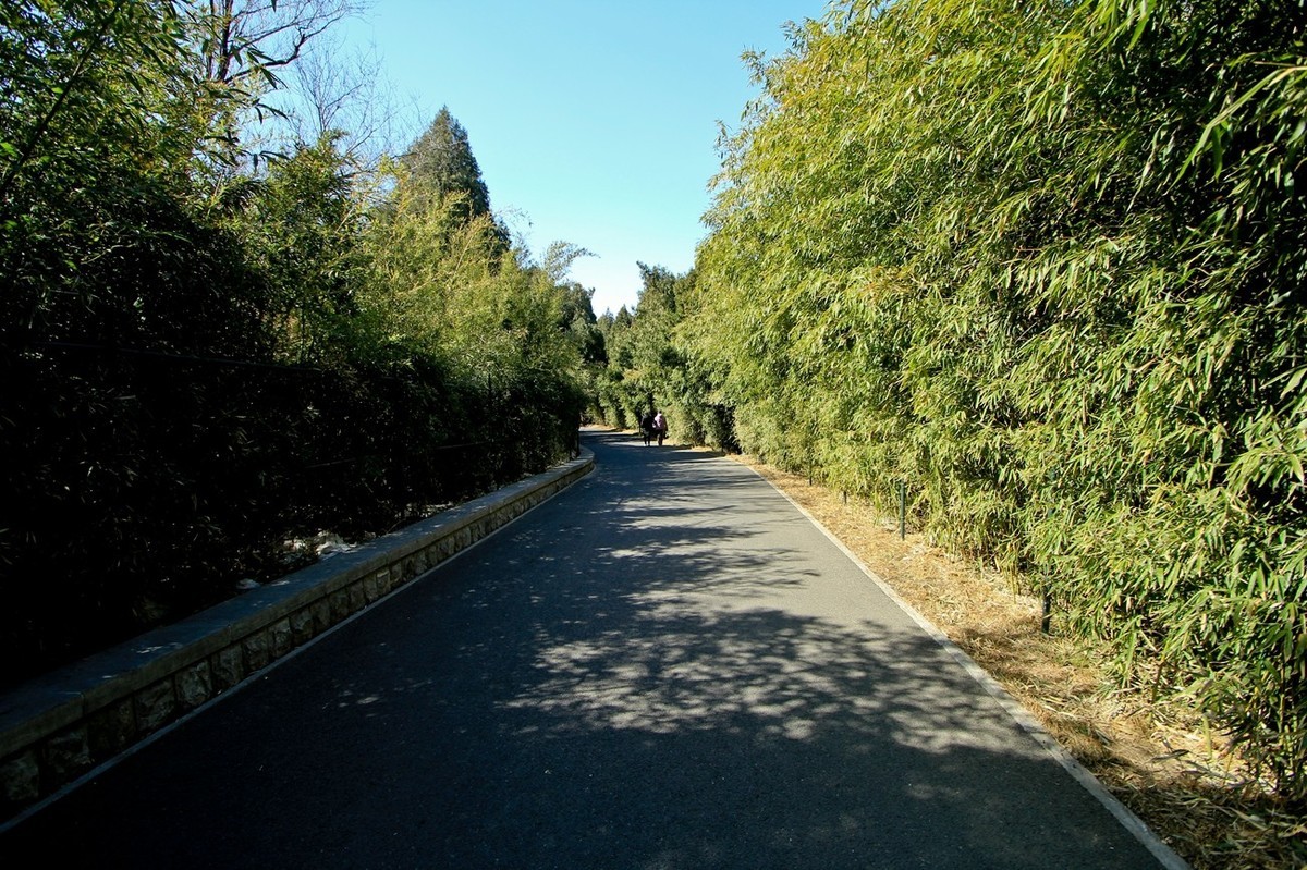 初春——素静安逸的千佛山 （二）